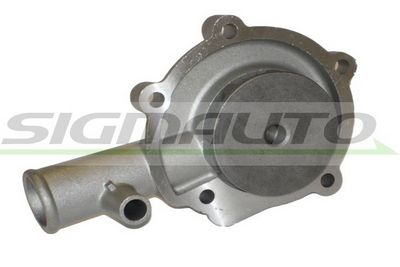 POMPă DE APă RăCIRE MOTOR