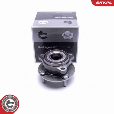 SET RULMENT ROATA ESEN SKV 29SKV431