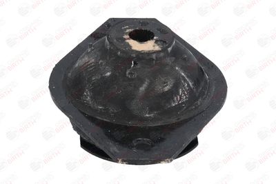 SUPORT MOTOR BIRTH 5338 4