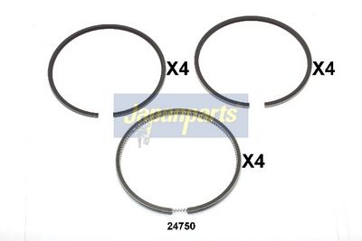 SEGMENT PISTON
