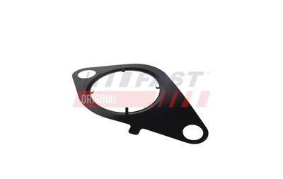 GARNITURA VENTIL AGR FAST FT13434 19