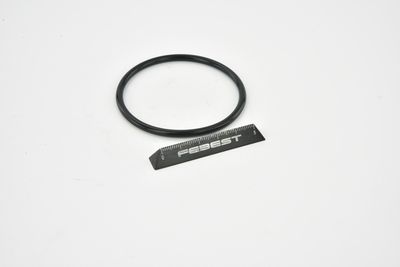 ETANșARE CARCASă CLAPETă FEBEST RINGAH034 49