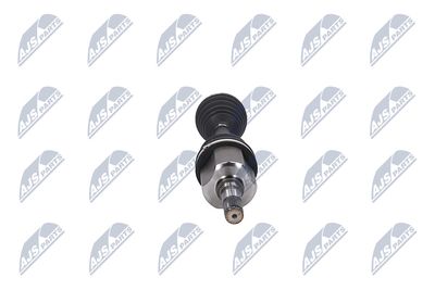 PLANETARA NTY NPWFR161 33