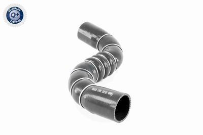 FURTUN EAR SUPRAALIMENTARE ACKOJA A389602 7