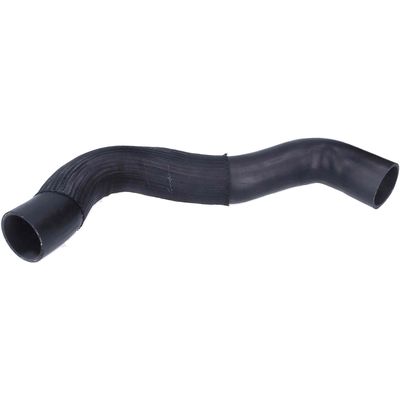 FURTUN EAR SUPRAALIMENTARE