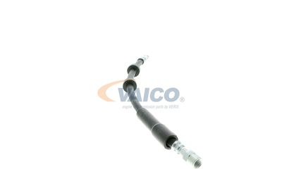 FURTUN FRANA VAICO V959582 37