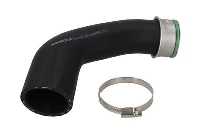 FURTUN EAR SUPRAALIMENTARE