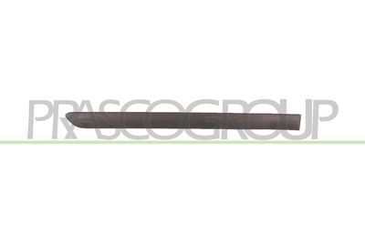 ELEMENTE DECORATIVE/PROTECTIE PORTIERA PRASCO VG0361453