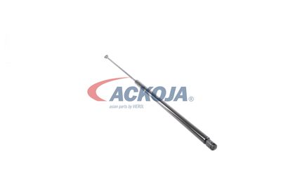 AMORTIZOR PORTBAGAJ ACKOJA A520065 47