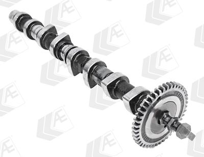 NOCKENWELLE AE CAM1044 2