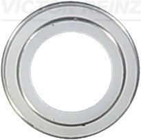 Уплотнительное кольцо, стержень клапана VICTOR REINZ 70-23062-00 для VOLVO 780