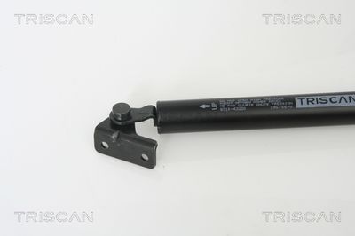 AMORTIZOR PORTBAGAJ KAWE 871043220 1