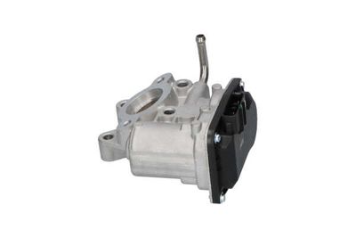 SUPAPA EGR Kavo Parts EEG8003 11