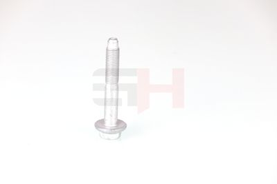 SURUB CAPAT DE AX GH GH392528 49