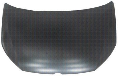 Capota motor MTR 11037964