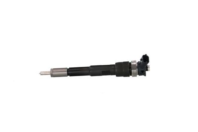 INJECTOR REMANTE 002003001494R 15