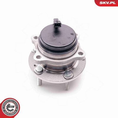 SET RULMENT ROATA ESEN SKV 29SKV126 1