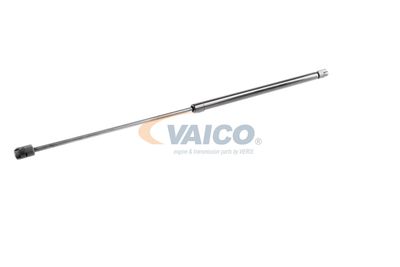 GASFEDER KOFFER-/LADERAUM VAICO V240211 33
