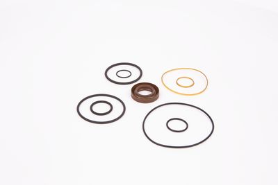 SET DE GARNITURI POMPA HIDRAULICA BOSCH 3083698001 14