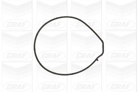 POMPă DE APă RăCIRE MOTOR GRAF PA884 1