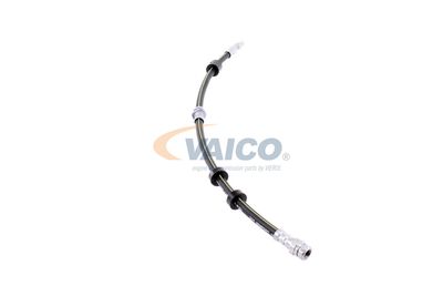 FURTUN FRANA VAICO V101320 38