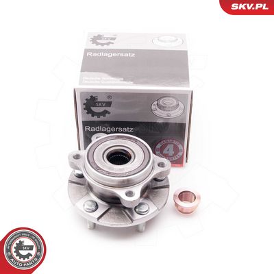 SET RULMENT ROATA ESEN SKV 29SKV106 4