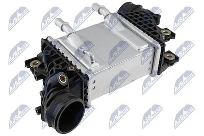 CNG-WW-031