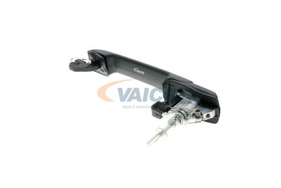 TüRGRIFF VAICO V106124 43