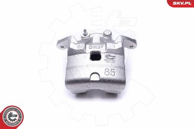 Brake Caliper 46SKV882