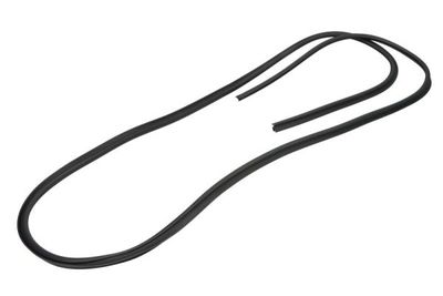 Afdichting voorruit Voor past: TOYOTA AVENSIS 09.97-02.03