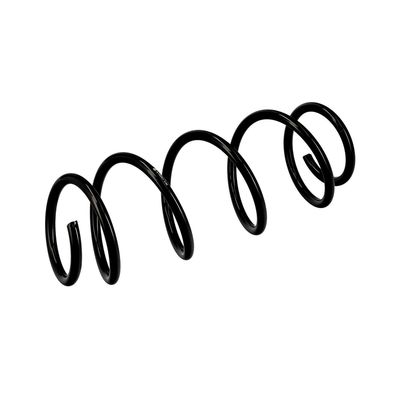 ARC SPIRAL EIBACH R10001 5