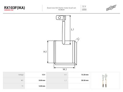 Uhlíkový zberač, štartér AS-PL RX103F(IKA)