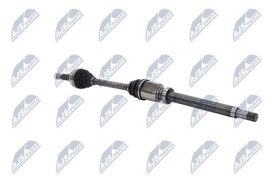 PLANETARA NTY NPWFR074 28