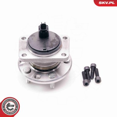 SET RULMENT ROATA ESEN SKV 29SKV002 1