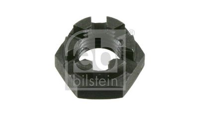 PIULITA CRENELATA FEBI BILSTEIN 04779