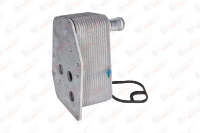 RADIATOR ULEI ULEI MOTOR BIRTH 80044 9