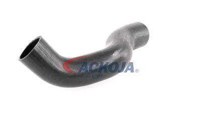 FURTUN EAR SUPRAALIMENTARE ACKOJA A380307 29