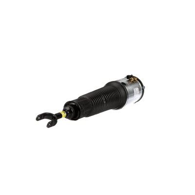 LUFTFEDERBEIN Arnott AS2560 24