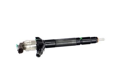 INJECTOR REMANTE 002003000087R 41