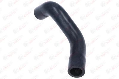 FURTUN ULEI BIRTH 56017 3