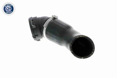 FURTUN EAR SUPRAALIMENTARE VAICO V202969 2