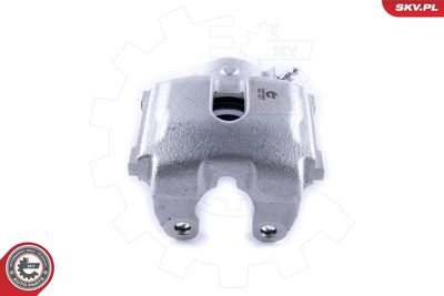 Brake Caliper 55SKV602