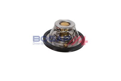 TERMOSTAT LICHID RACIRE BOGAP Y4245103 2