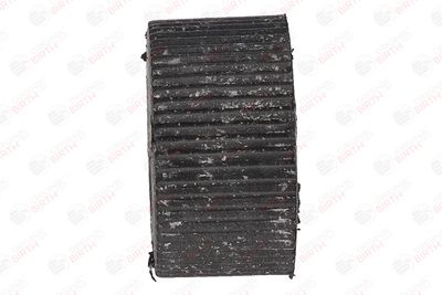 BUCSA ARBORE DE DIRECTIE BIRTH 4848 4