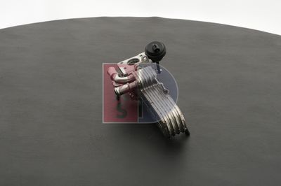 KüHLER ABGASRüCKFüHRUNG AKS DASIS 045180N 16