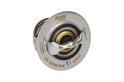 TERMOSTAT LICHID RACIRE Kavo Parts TH5515 26