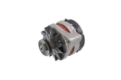 GENERATOR / ALTERNATOR REMANTE 011003000079R 10