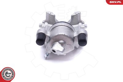 Brake Caliper 55SKV732