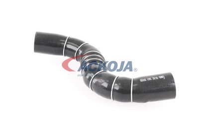 FURTUN EAR SUPRAALIMENTARE ACKOJA A389602 41
