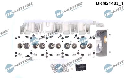 CHIULASA Dr.Motor Automotive DRM21403 1